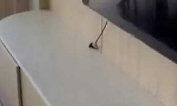 Imagem 6: Frente Mar Balneário Camboriú