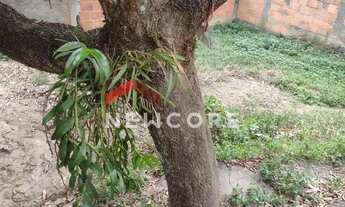 Imagem 3: Casa em Rua Joaquim Ramalho - Porto do Rosa - São Gonçalo/RJ