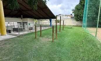 Imagem 4: CAMPOS DO CERRADO