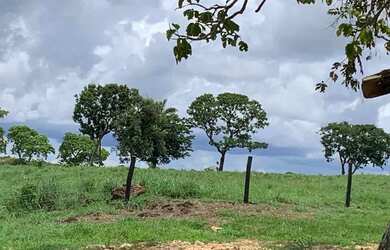 Imagem 6: Fazenda 52 alqueires, Uruaçu-Go