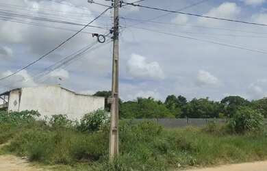 Imagem 2: TERRENO EM ALAGOINHAS