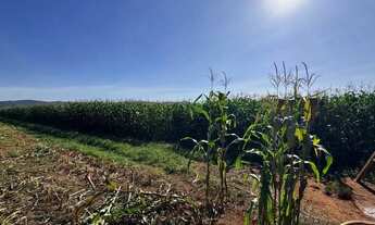 Imagem 6: Fazenda a venda - Pontalina - GO