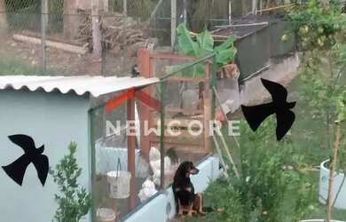 Imagem 4: Casa de condomínio em Ibiúna - Ibiúna - Ibiúna/SP