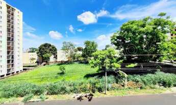 Imagem 7: Apartamento com 3 dormitórios no Presidente Médici para locação