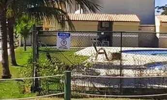 Imagem 3: ITABORAÍ - Linda Casa 3 quartos, próximo ao centro de MANILHA !! financiada FLA(IV499IV