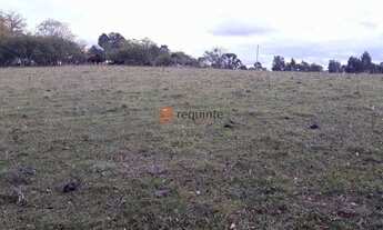 Imagem 5: Areá de 13 HE PRÓXIMO A PONTE DO RETIRO