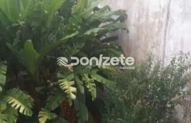 Imagem 4: Terreno à venda, 330 m² por R$ 1.060.000,00 - Vila Floresta - Santo André/SP