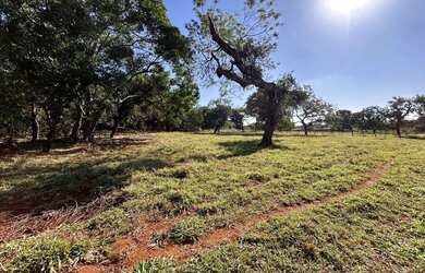Imagem 5: Chácara Setor Maracanã ( Goianira