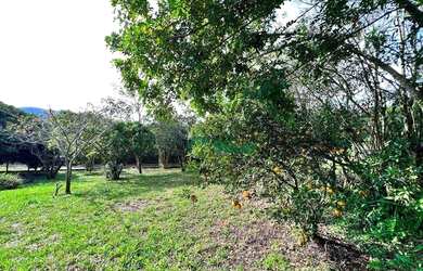 Imagem 3: Sítio à venda, 1500 m² por R$ 190.000,00 - Itacolomi - Gravataí/RS