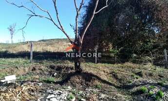 Imagem 7: Lote em Rua Senador Darcy Ribeiro - Chácaras Piagui - Guaratinguetá/SP