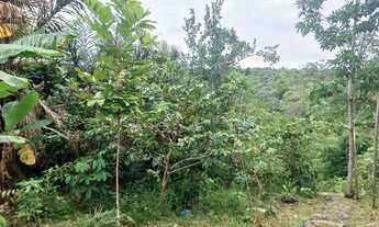 Imagem 7: Sítio no Iranduba ramal ariauzinho com entrada pelo ramal caldeirão