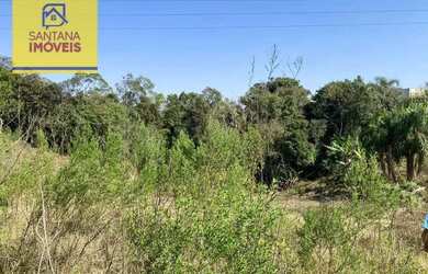 Imagem 4: Terreno à venda, 20561 m² por R$ 4.500.000,00 - Jardim Social - Campo Largo/PR