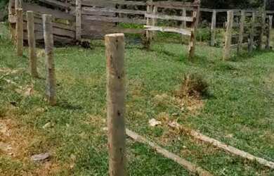 Imagem 7: Chacara Em Cocalinho-MT / Rio Araguaia / 100mt da Cidade