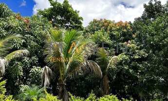 Imagem 4: Chácara com 2900m² à venda em Hidrolândia-GO