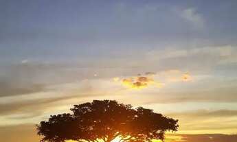 Imagem: Terreno próximo ao asfalto na divisa