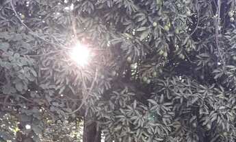 Imagem 6: Terreno/lote/chácara