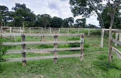 Imagem 5: Chacara Em Cocalinho-MT / Rio Araguaia / 100mt da Cidade