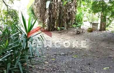 Imagem 2: Lote em Avenida Santa Terezinha - Barranco - Taubaté/SP