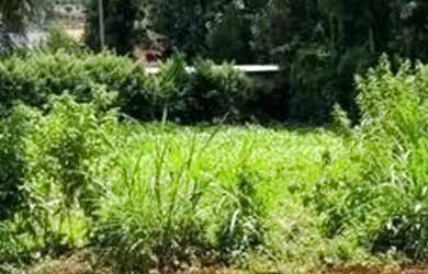 Imagem 6: Terreno barato em Ibiúna com garantia documental