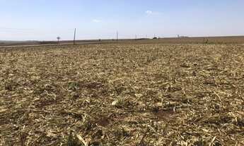 Imagem 6: 4 alqueires em Ibiporã na PR 090 com 400 m de frente