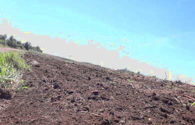 Imagem 9: Fazenda em ipiranga