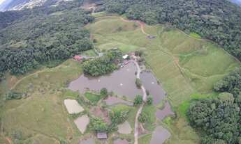 Imagem 3: Vendo Sitio com ampla Infra Estrutura em Massaranduba/sc