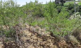 Imagem 3: Vendo terreno em Extrema - MG