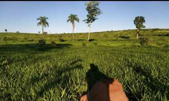 Imagem: Fazenda em Ribas do Rio Pardo MS