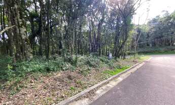 Imagem: Gramado - Terreno Padrão - Floresta