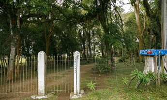 Imagem 6: Chácara com localização espetacular a 200m da BR277