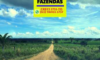 Imagem 5: Fazenda as margens rio Araguaia 615 alqueires