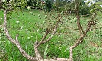 Imagem 2: Chácara Condomínio Vale das Cachoeiras 1750m², Frente 3 Ruas, Plana- Aragoiânia
