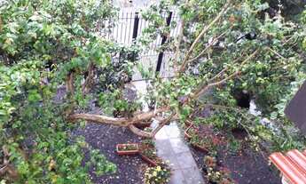 Imagem 6: Casa em Vila Nova