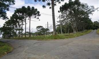 Imagem 2: Chácara com localização espetacular a 200m da BR277