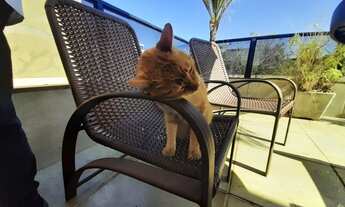 Imagem 4: BELO HORIZONTE - Cobertura - castelo