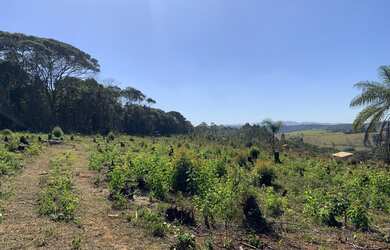 Imagem 2: Chácaras com cerca de 1700 m²