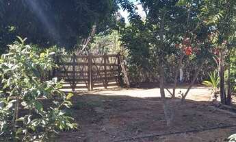 Imagem 2: Vendo sitio Chácara com venda por R$70.000