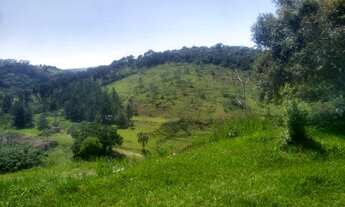 Imagem 7: Vende-se terreno em Igaratá