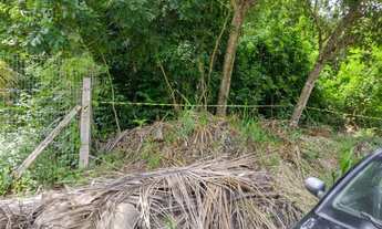 Imagem 5: Vendo/Troco por picape: Terreno 675m² com mata nativa em Enseada dos Corais!