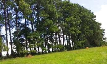 Imagem 6: Terreno com ótima qualidade a venda !!