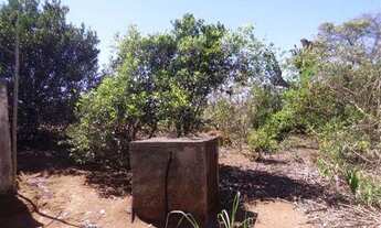 Imagem 5: Sitio em Tuiuti -SP