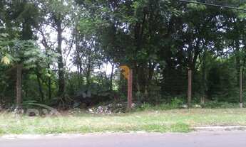 Imagem 3: CANOAS - Terreno Padrão - Olaria