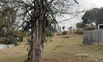 Imagem 7: Chácara com 2 dormitórios à venda, 6150 m² por R$ 320.000 - Boa vista - Estiva/MG