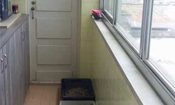 Imagem 6: Porto Alegre - Apartamento Padrão - Floresta