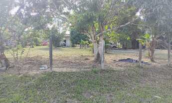 Imagem 6: Fazenda/Sítio/Chácara para venda tem 100000 metros quadrados