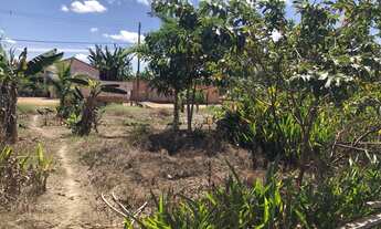 Imagem 2: Oportunidade imperdível Terreno á venda !