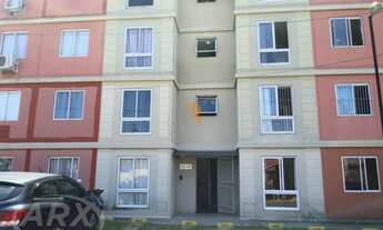 Imagem 3: CANOAS - Padrão - Igara