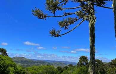 Imagem 2: SÍTIO - FAZENDA - À VENDA EM URUBICI