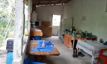 Imagem 5: Vendo uma chácara em Camaçari Bahia