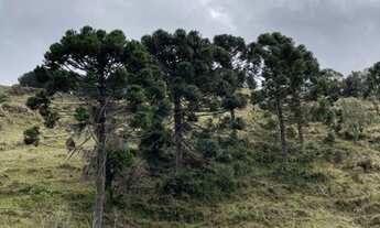 Imagem 5: Terreno Rancho Queimado / SC - Oportunidade